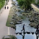 세송천 이미지
