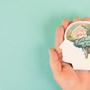 꿈의세계 이미지