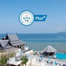 티리조트1 이미지