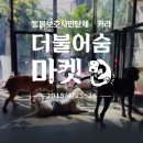 숨마켓