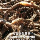 줌디자인 이미지