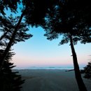 위드펜션 이미지