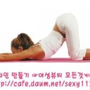 [요가 자세 61]요가 앉은자세 고양이 변형 자세 이미지