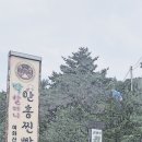 진소 이미지
