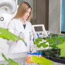 자연SCIENCE 이미지