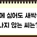 넌센스 이미지