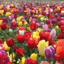 우아한공인중개사사무소 이미지