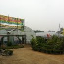 밀알농원 네이버블로그