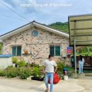 Stay Dole 이미지