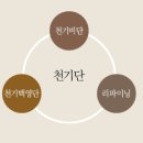 백영단 이미지