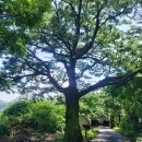 무등요양병원 이미지