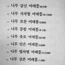 유보상사 이미지