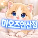 (주)경기사료 | 중앙동고양이책임분양 고양이밥 하루에 얼마나줘야할까? 나이별 급여량,사료선택방법^^