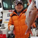 파랑도호
