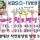 방태산황토펜션식당 이미지