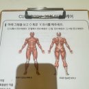 김해율하골드테라피