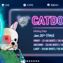 민트도그 이미지