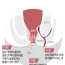 판도라봄약국 이미지