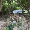 거북이게임랜드 이미지