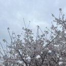 무니네일스튜디오 이미지
