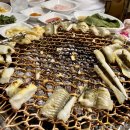 바다장어 이미지