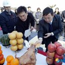 상예동-14 이미지