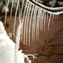 행복가든 이미지