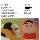 어학연수 갈 나라 추천 좀 해줘 이미지