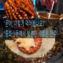 우문 | 전주 중화산동 우문집 방문기