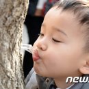 미산1리고로쇠마을 이미지