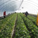 이정인농장 이미지