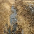 다리골천 이미지