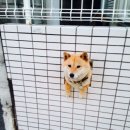 개구멍 이미지