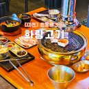대전 은행동 맛집 추천 무한으로 즐기는 고기집 화랑고기