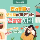 메이트메디컬 이미지