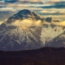 맥도날드 부산정관DT점 이미지