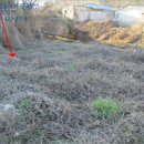 해남목장 이미지