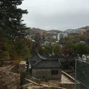 수아네