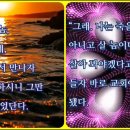 샬롬(Shalom) 이미지