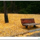 가로등 벤치 이미지