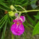 경기둘레길 양평28코스 이미지