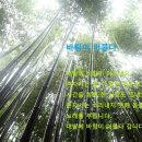 바람이 머무는 곳 이미지