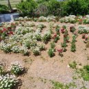 방석보건진료소 이미지