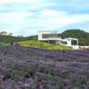 이승현농장 이미지