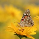 복음요양병원 이미지