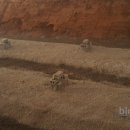 황산초지사계절바다낚시터 이미지