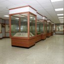 고대안경 이미지