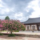 가든이다 이미지