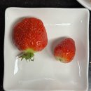 해든농원