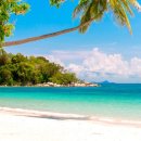 마야메드 이미지